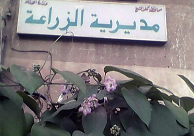 مديرية الزراعة بكفر الشيخ