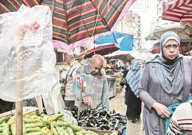 شتاء بالاسكندرية تصوير اميرة مرتضي
