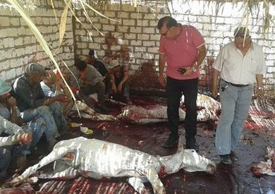 ارشيفية لذبح الحمير