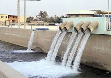 ارشيفية