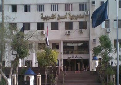 ارشيفية