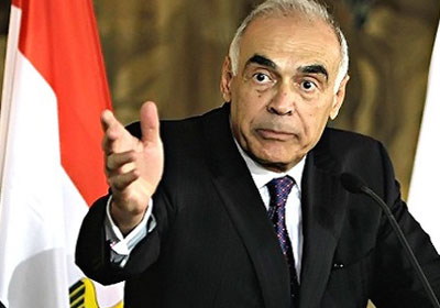محمد كامل عمرو، وزير الخارجية