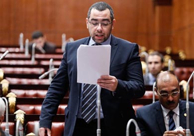 الدكتور محمد فؤاد عضو مجلس النواب