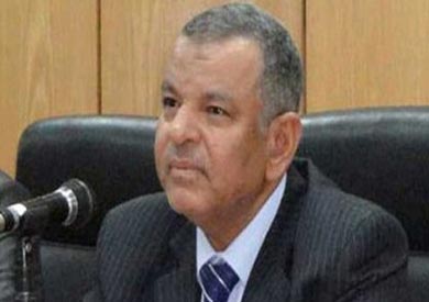 محافظ المنيا الأسبق الدكتور مصطفى عيسى