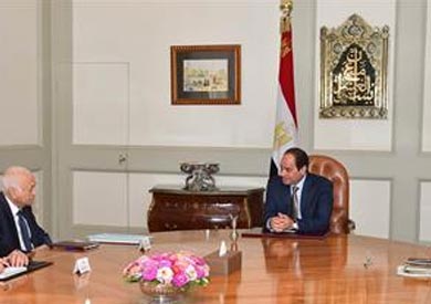 السيسي ونبيل العربي