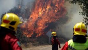 حرائق الغابات تجتاح جزيرة سومطرة في إندونيسيا