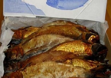 ارشيفية