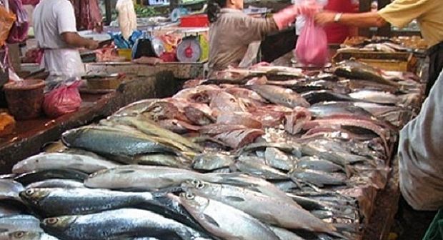 شعبة الأسماك: استقرار في الأسعار مع زيادة الطلب ووفرة في المعروض