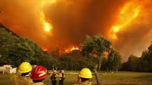 مقتل 9 رحالة وإنقاذ 30 آخرين في حريق داخل غابة بجنوب الهند