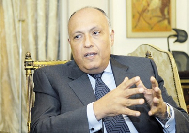 وزير الخارجية سامح شكرى