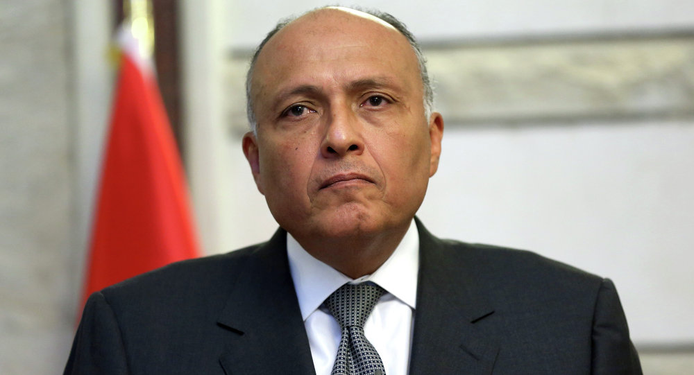 وزير الخارجية سامح شكرى