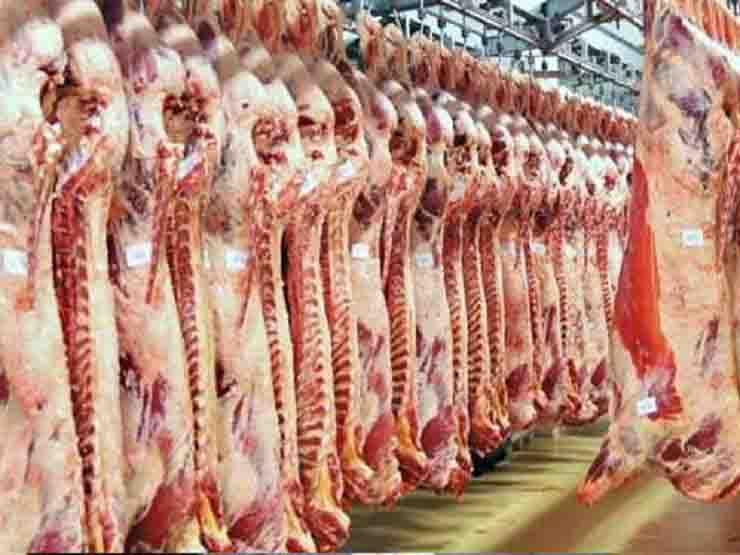 معلومات الوزراء ينفي إضافة دهن الخنزير إلى اللحوم المفرومة بالمجمعات الاستهلاكية