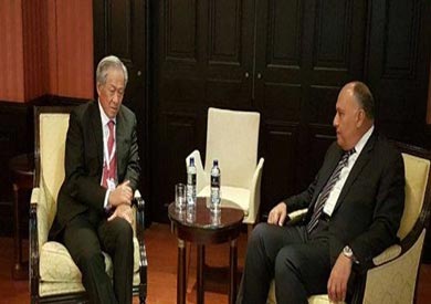 سامح شكري مع الدكتور نج إنج هين<br/> ارشيفية