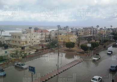 ارشيفية
