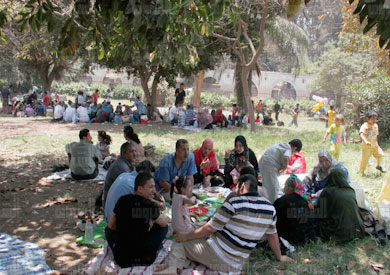 غدا يحتفل المصريون بعيد شم النسيم - تصوير: جيهان نصر