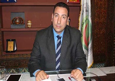محيي الدين عبيد، نقيب الصيادلة