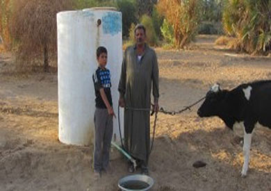 ارشيفية