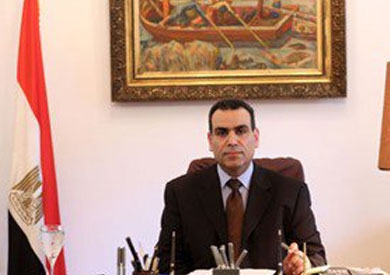 وزير الثقافة الدكتور عبد الواحد النبوي