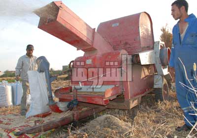 نقص السولار يهدد جمع محصول القمح تصوير  مجدى إبراهيم