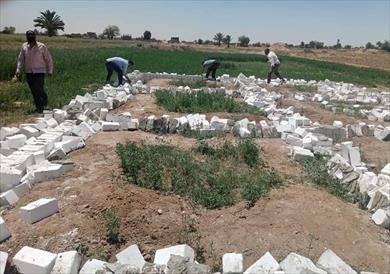 إزالة في المهد بمركز المنيا