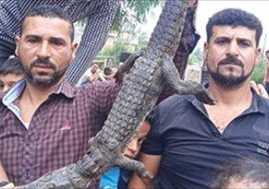 صيادان يعثران على تمساحين نيليين بدسوق