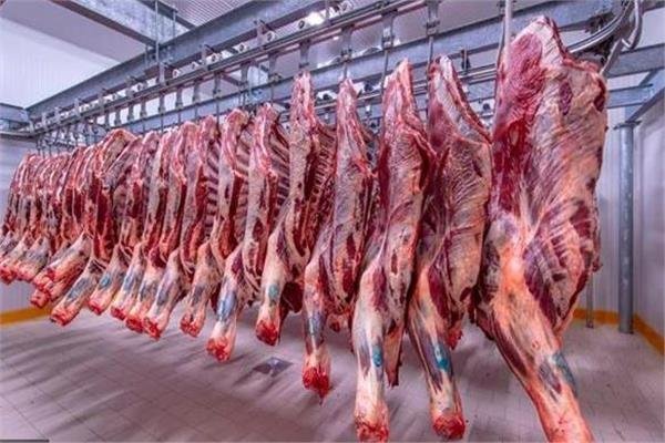 نقيب الجزارين: تراجع اللحوم ل380 جنيها بسبب الركود.. وانخفاض الأبقار الحية ل 165 