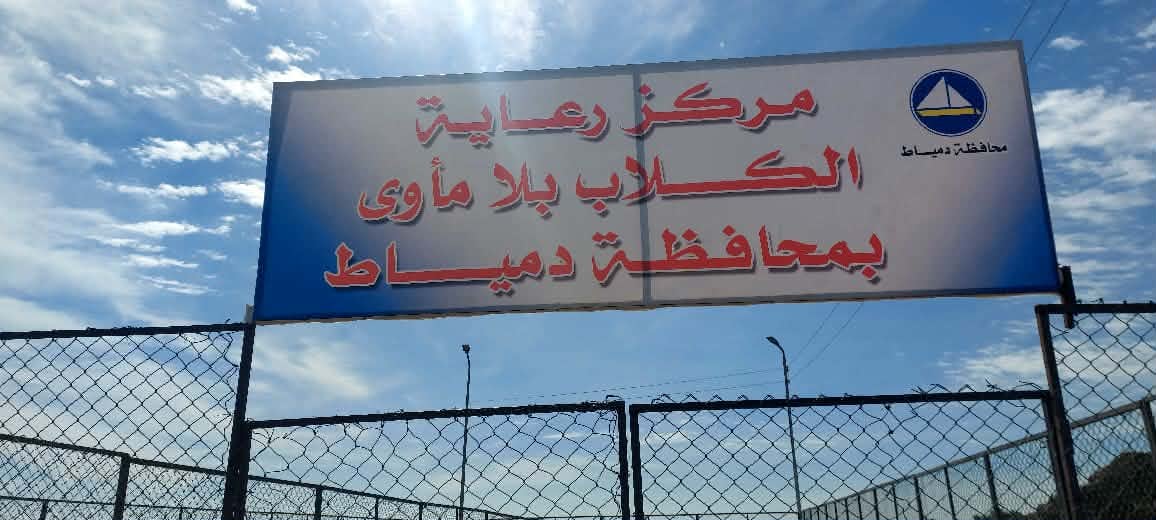 تدشين مأوى للكلاب في قرية الخياطة بدمياط 