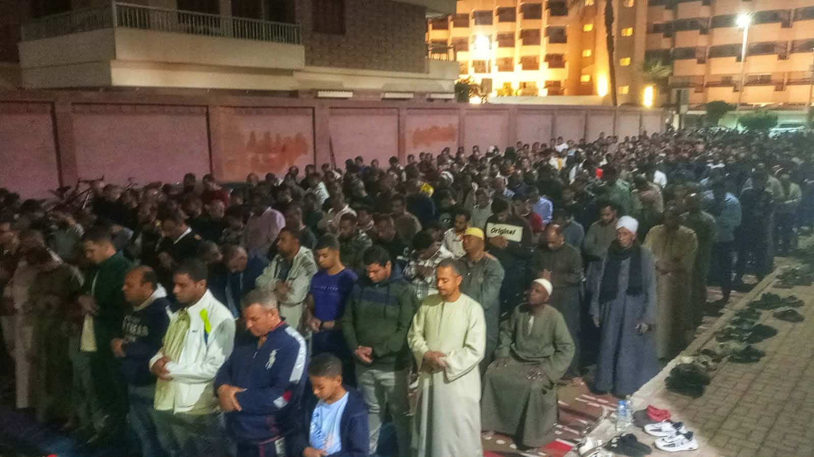 تصوير محمد راشد