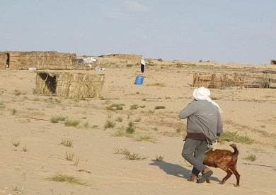 ارشيفية