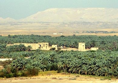 نعمة الشمس بالوادى الجديد