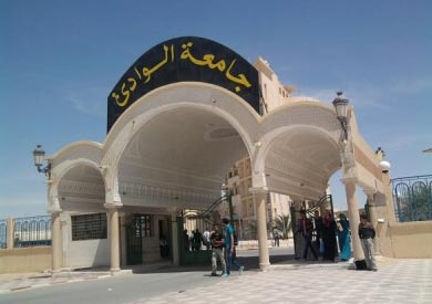 جامعة جنوب الوادي