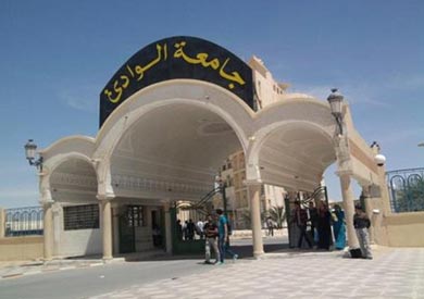 جامعة جنوب الوادي