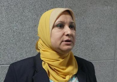 كوثر حفني، رئيس الإدارة المركزية للأزمات والكوارث البيئية