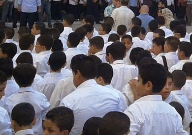 الدكتور إسماعيل عبد الحميد طه، محافظ دمياط