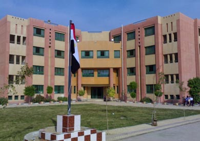 مدرسة ابتدائي بالمحلة الكبرى