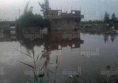 شوارع البحيرة - تصوير: غادة الدسونسي