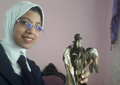 الطالبة أروى محمد شعبان، الطالبة بالصف الأول بمدرسة الشيماء الثانوية بنات بمدينة سوهاج