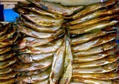 ارشيفية