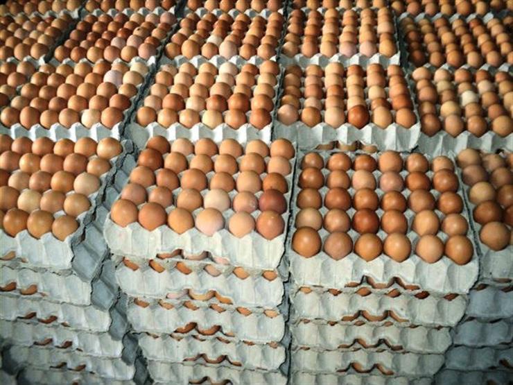 انتظر انخفاض سعر كرتونة البيض لـ125 جنيها والفراخ لـ73 من السبت