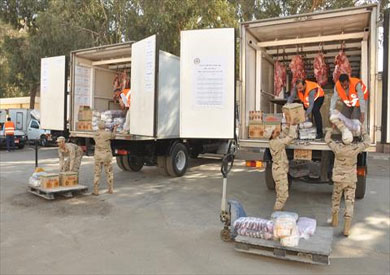 وصول 1100 رأس ماشية من اسبانيا تمهيداً لطرحها بمنافذ البيع