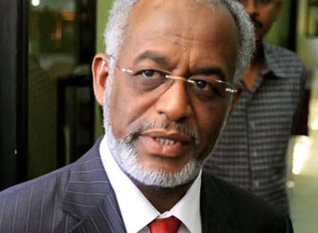 وزير الخارجية السوداني علي أحمد كرتي