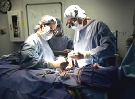 حبس 28 متهما في «الإتجار بالأعضاء البشرية»..