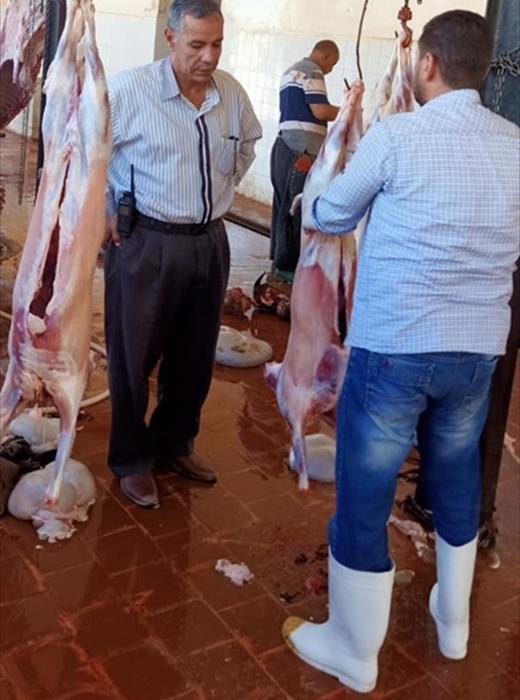 إقبال مواطنو مدينة الطور علي المجازر