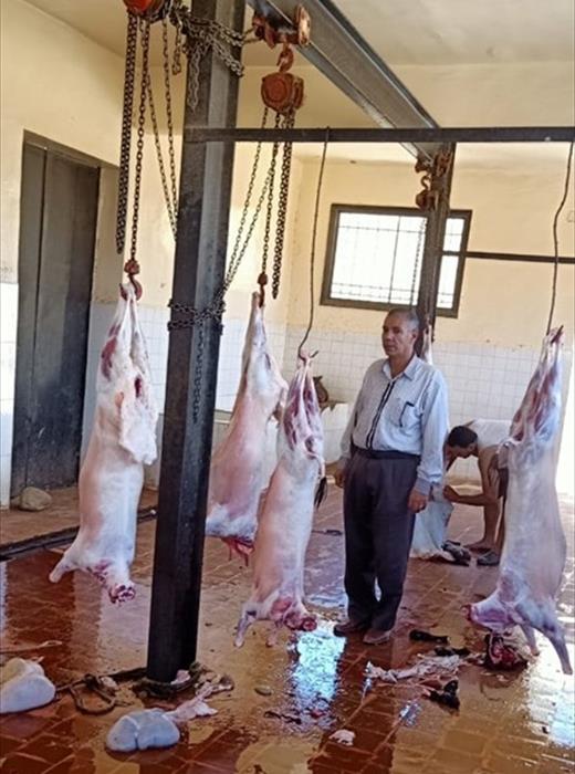 إقبال مواطنو مدينة الطور علي المجازر