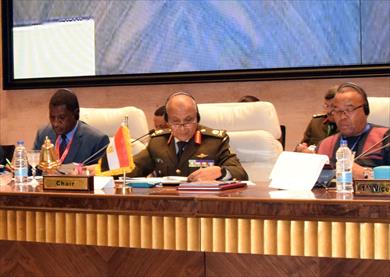اجتماعات خبراء اللجنة المتخصصة للدفاع والسلامة والأمن الأفريقية