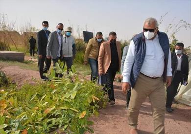 محافظ الوادي الجديد يتفقد مشروع زراعة المورينجا