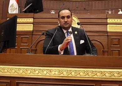 النائب محمد الرشيدي، عضو لجنة العلاقات الخارجية والعربية والإفريقية بمجلس الشيوخ