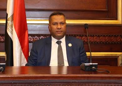 النائب محمد حمزه عضو مجلس الشيوخ