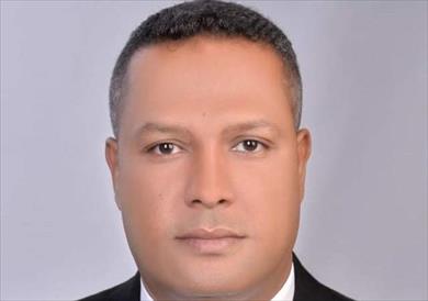النائب محمد حمزة، عضو مجلس الشيوخ