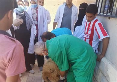 جامعة مطروح: الدفع بقافلتين بيطرية وزراعية لقريتي السلام وكشوك عميرة ضمن مبادرة حياة كريمة